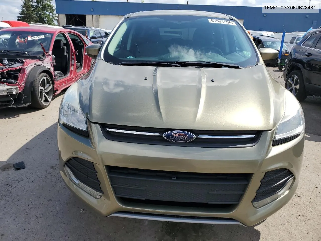 2014 Ford Escape Se VIN: 1FMCU0GX0EUB28481 Lot: 67891604