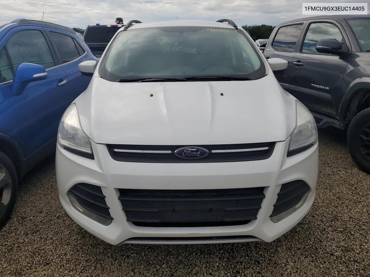 2014 Ford Escape Se VIN: 1FMCU9GX3EUC14405 Lot: 74195524