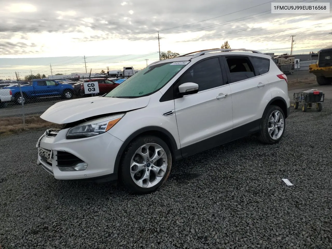 2014 Ford Escape Titanium VIN: 1FMCU9J99EUB16568 Lot: 76493784