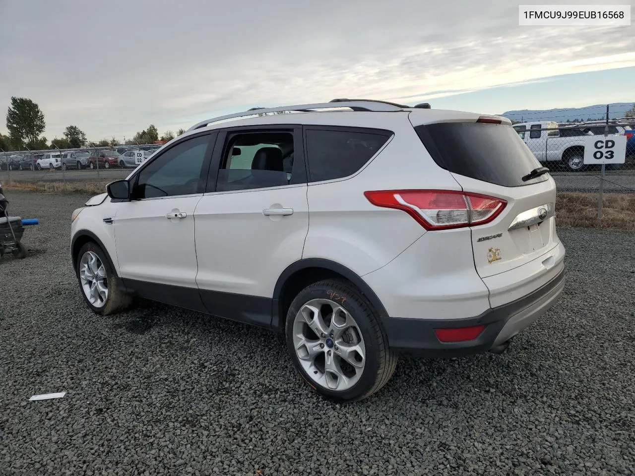 2014 Ford Escape Titanium VIN: 1FMCU9J99EUB16568 Lot: 76493784