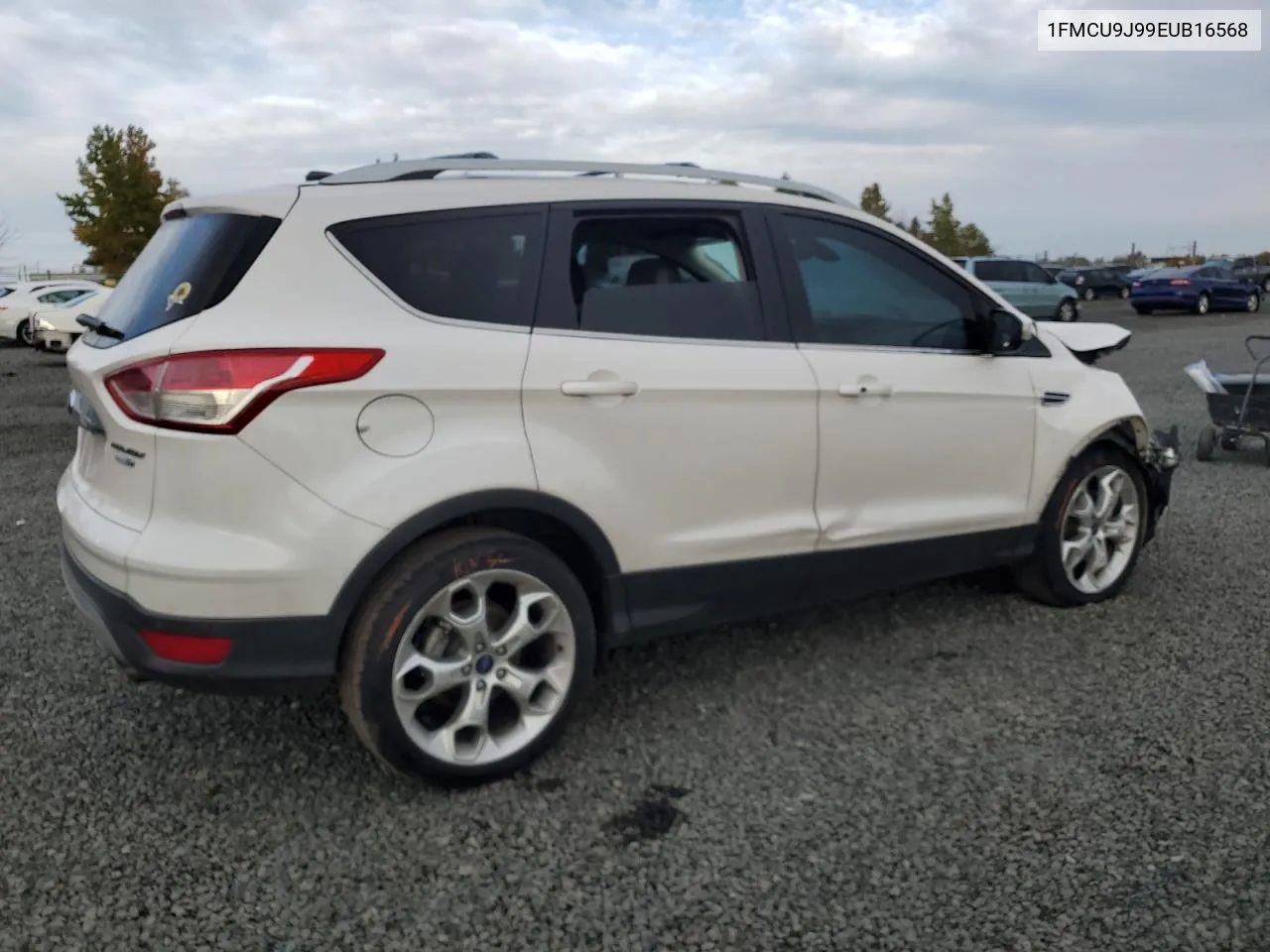 2014 Ford Escape Titanium VIN: 1FMCU9J99EUB16568 Lot: 76493784