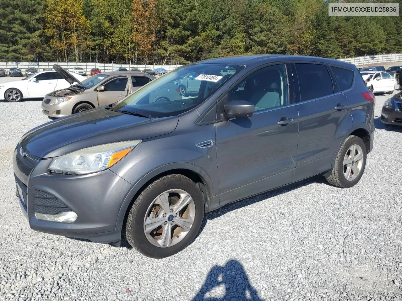 2014 Ford Escape Se VIN: 1FMCU0GXXEUD25836 Lot: 77618454