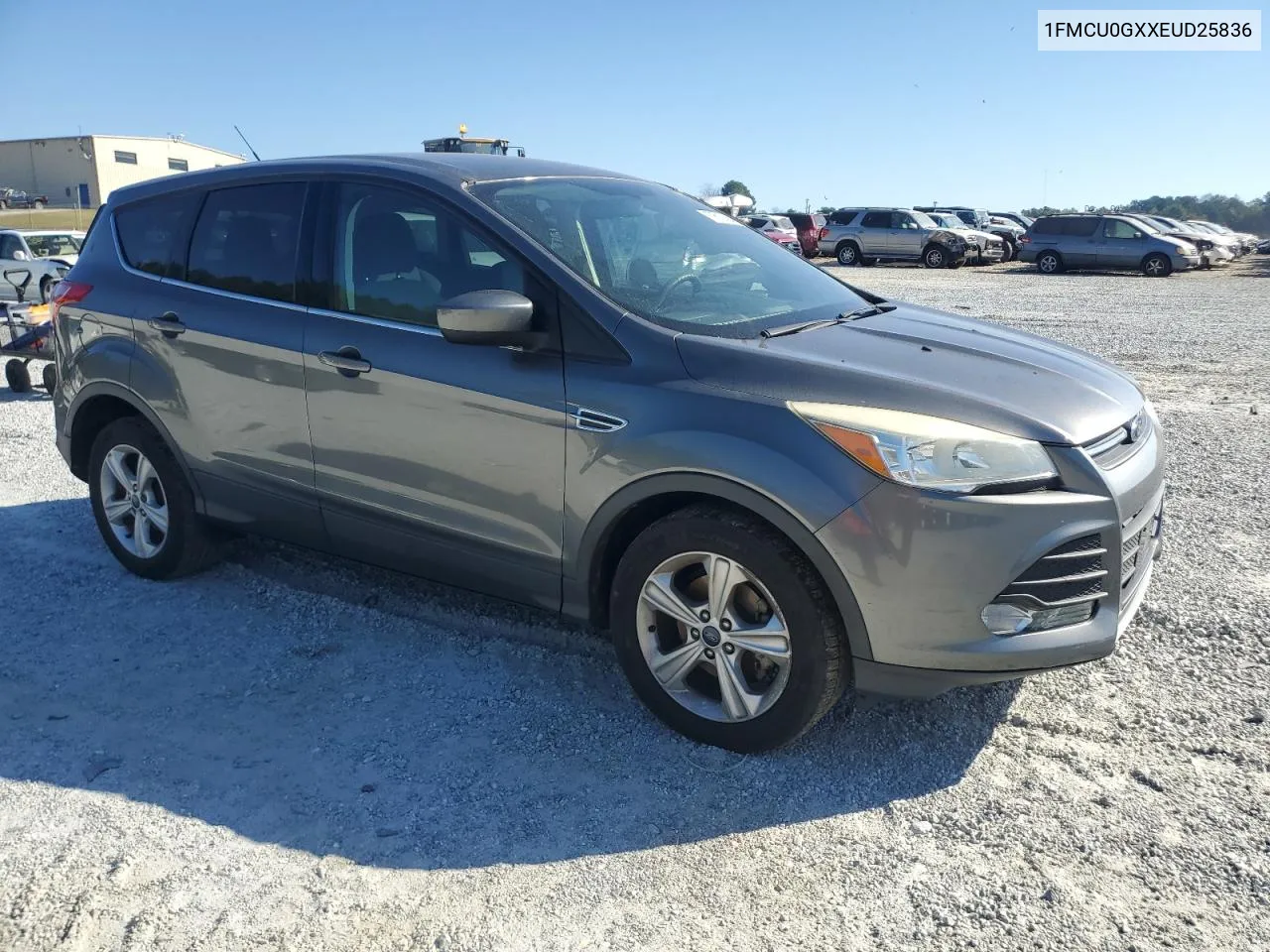 2014 Ford Escape Se VIN: 1FMCU0GXXEUD25836 Lot: 77618454