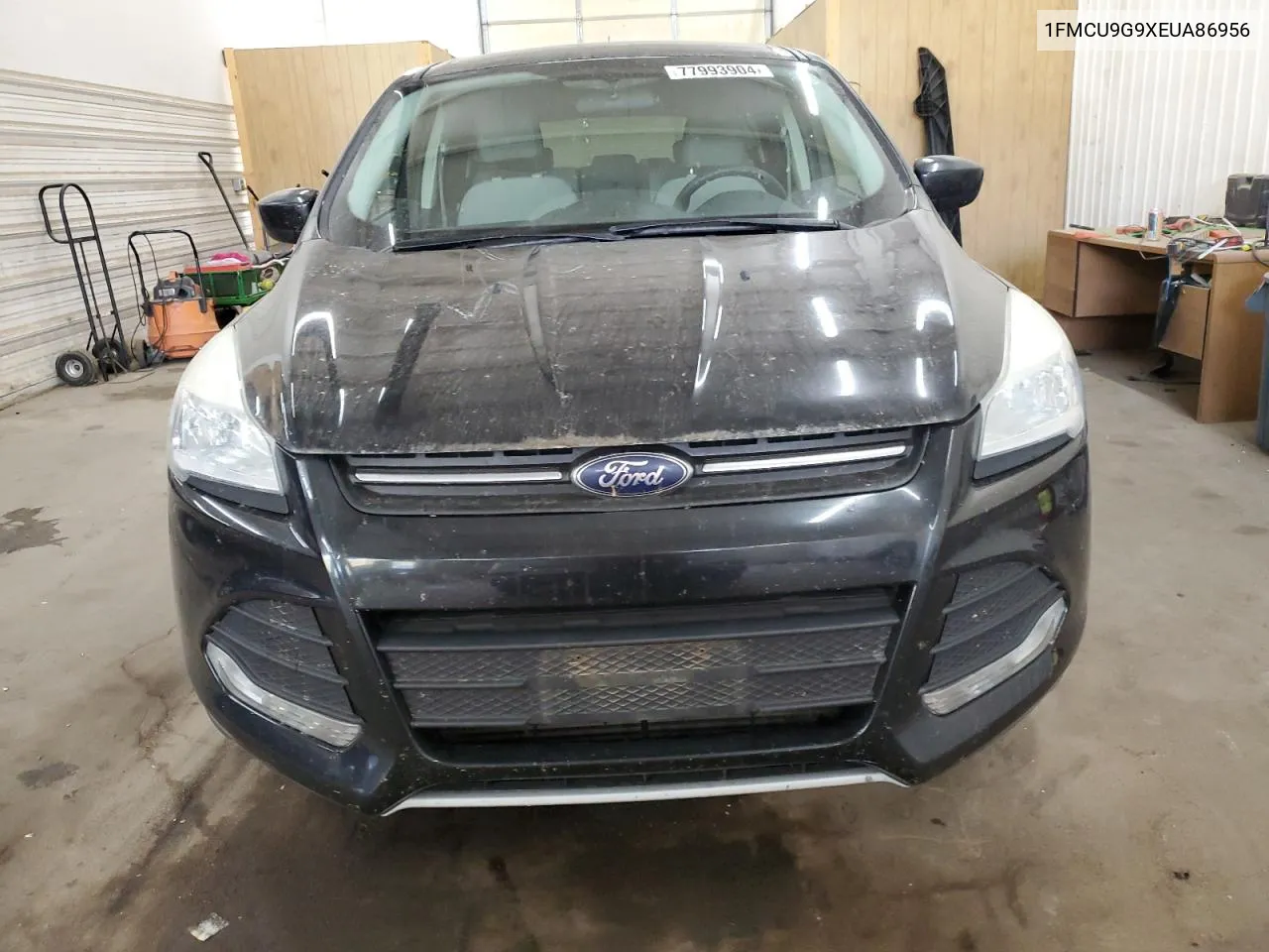 2014 Ford Escape Se VIN: 1FMCU9G9XEUA86956 Lot: 77993904