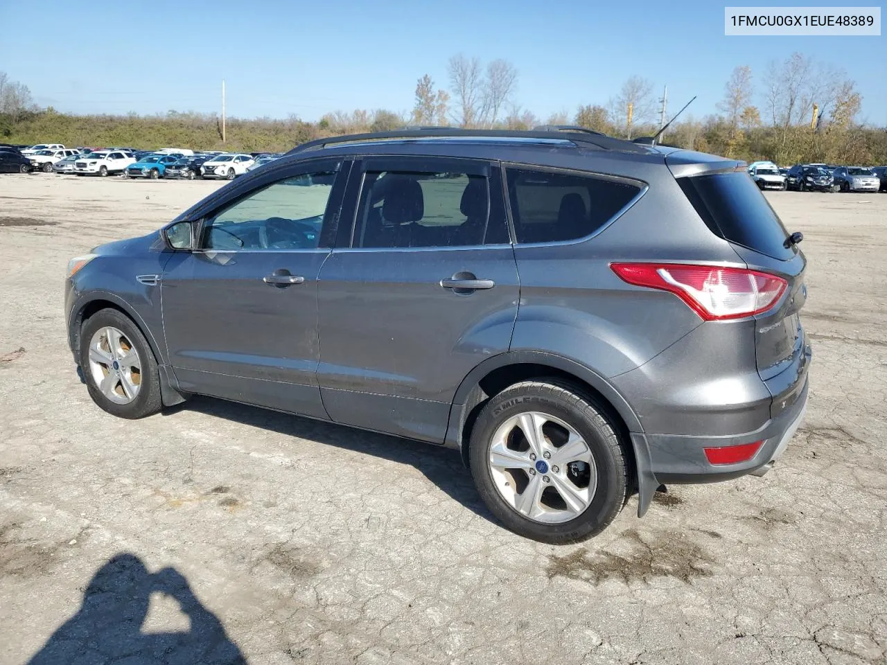 2014 Ford Escape Se VIN: 1FMCU0GX1EUE48389 Lot: 80923404