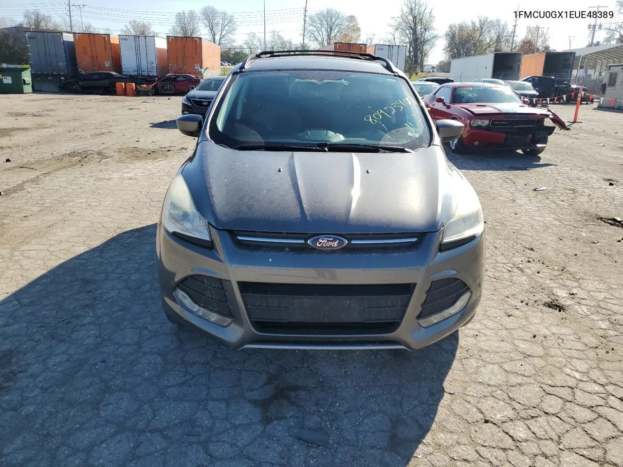 2014 Ford Escape Se VIN: 1FMCU0GX1EUE48389 Lot: 80923404