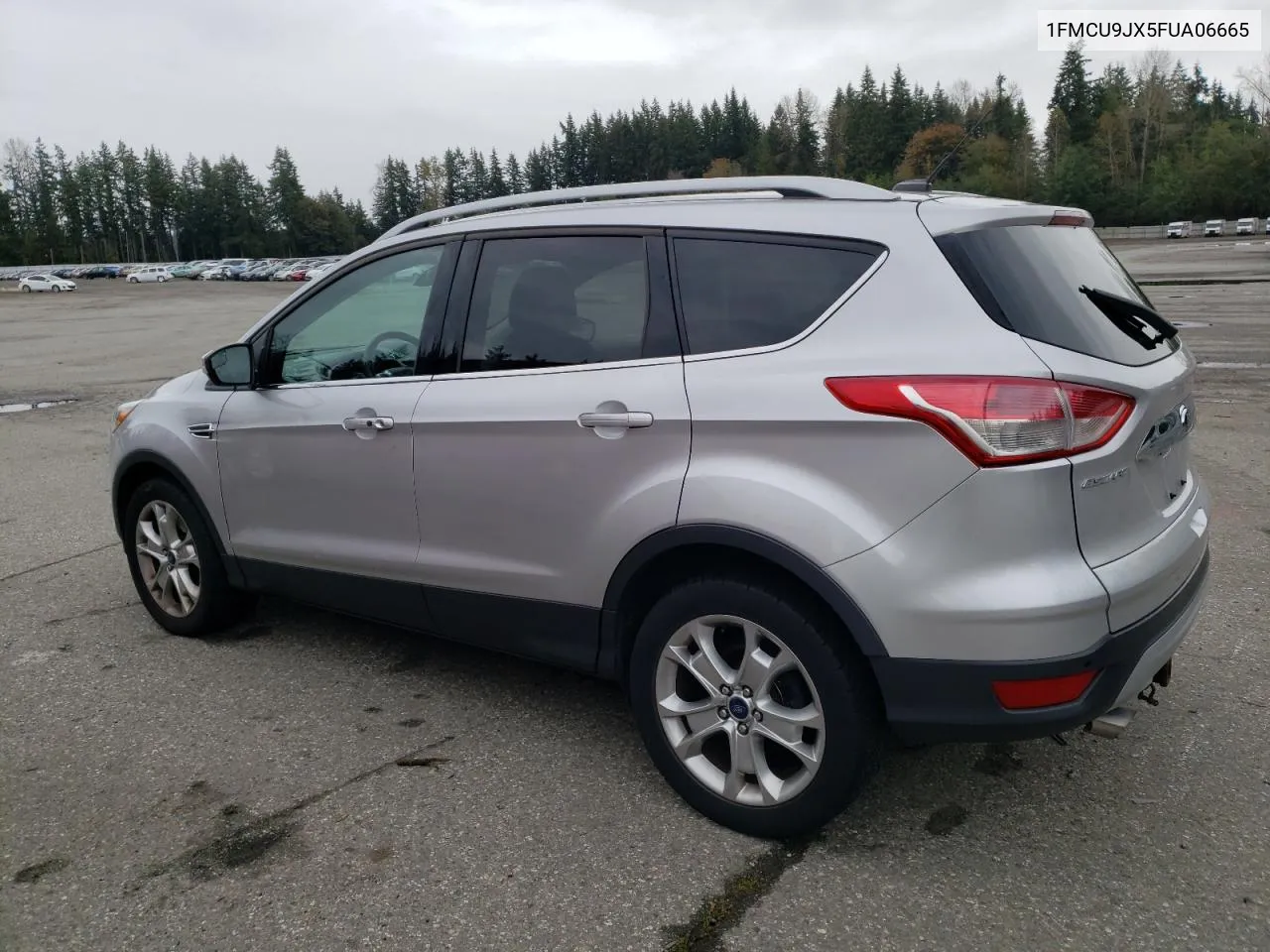 2015 Ford Escape Titanium VIN: 1FMCU9JX5FUA06665 Lot: 76290784