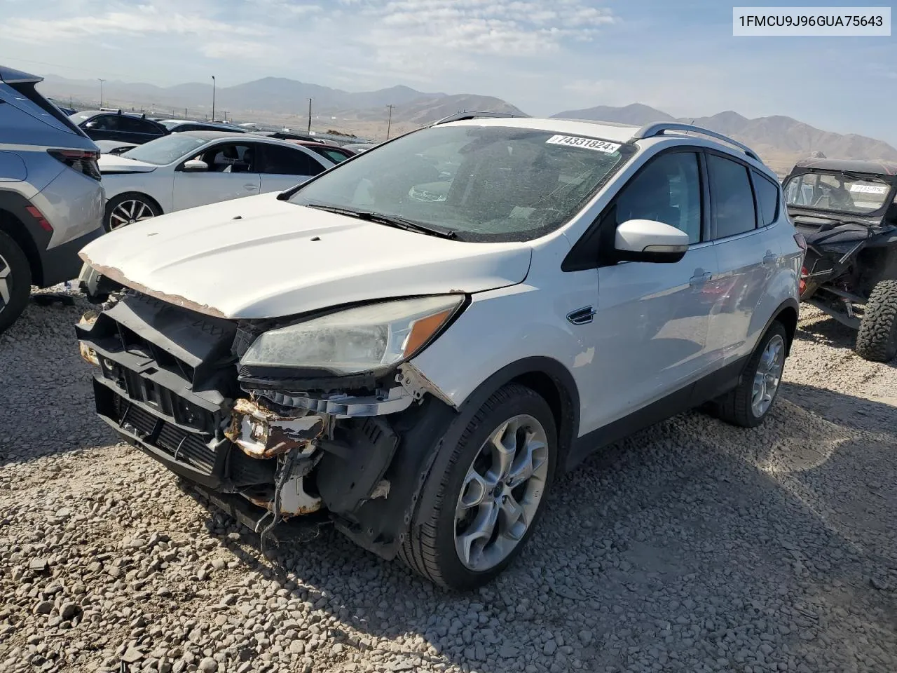 2016 Ford Escape Titanium VIN: 1FMCU9J96GUA75643 Lot: 74331824