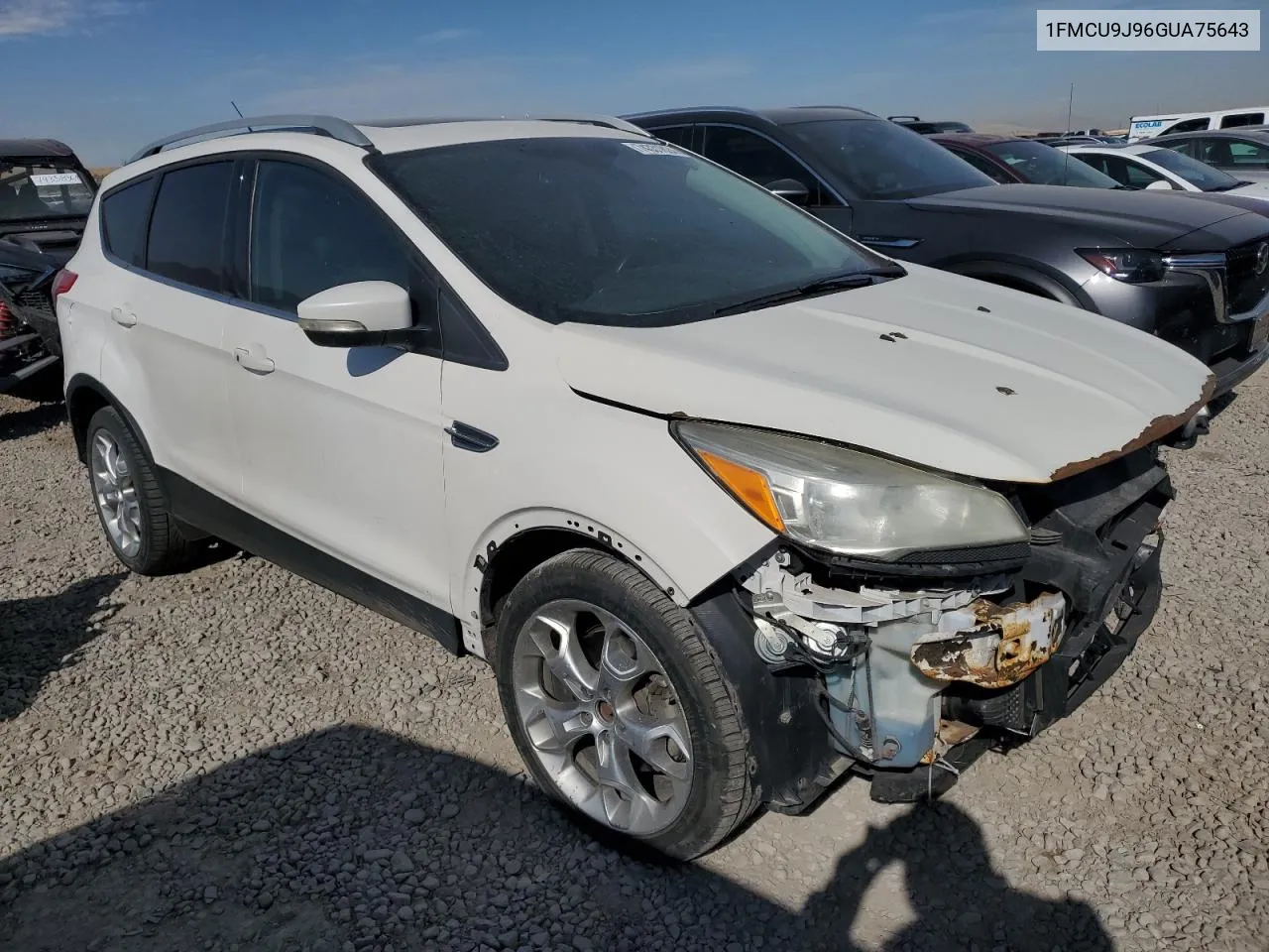 2016 Ford Escape Titanium VIN: 1FMCU9J96GUA75643 Lot: 74331824