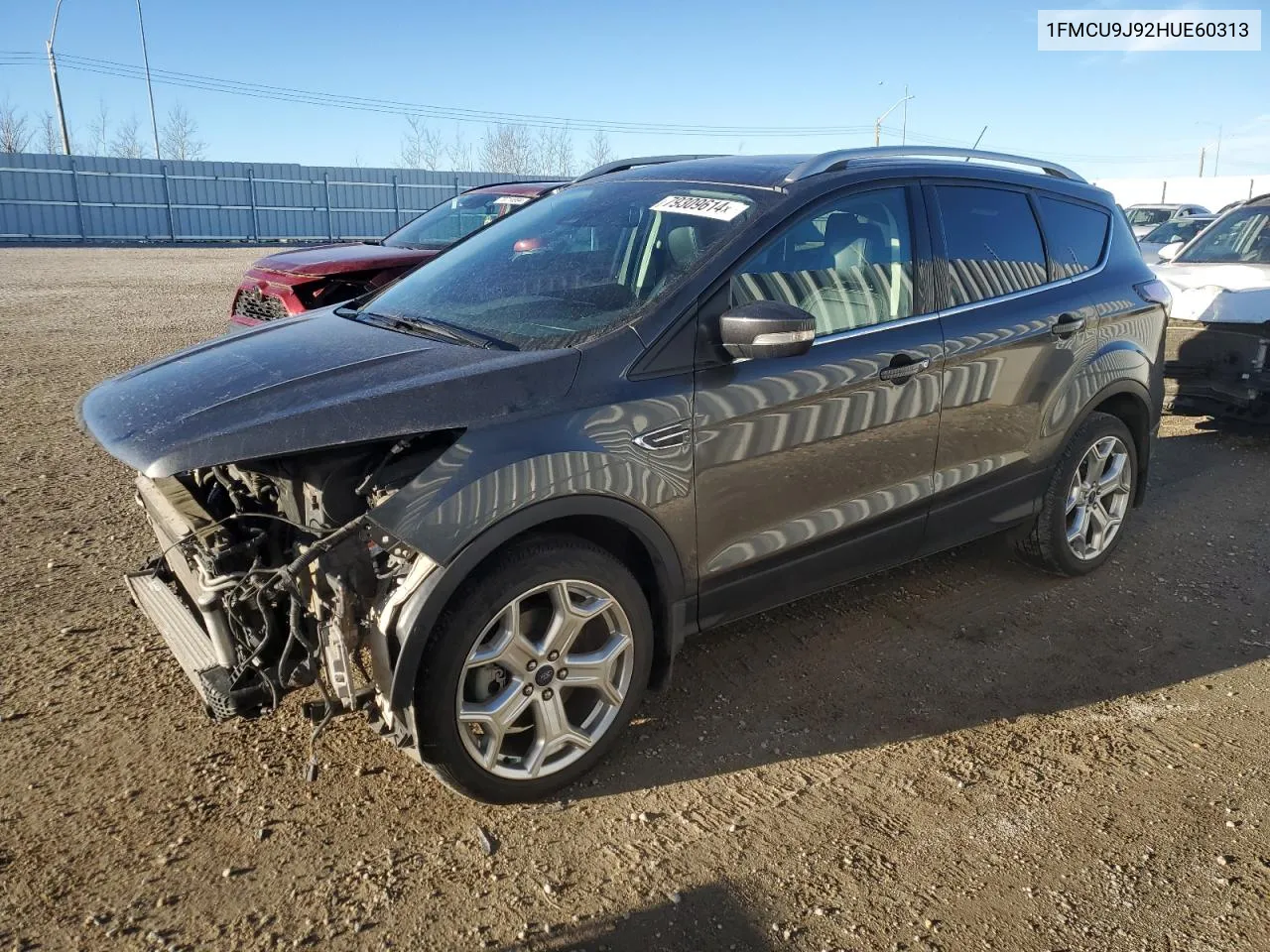 2017 Ford Escape Titanium VIN: 1FMCU9J92HUE60313 Lot: 79309614