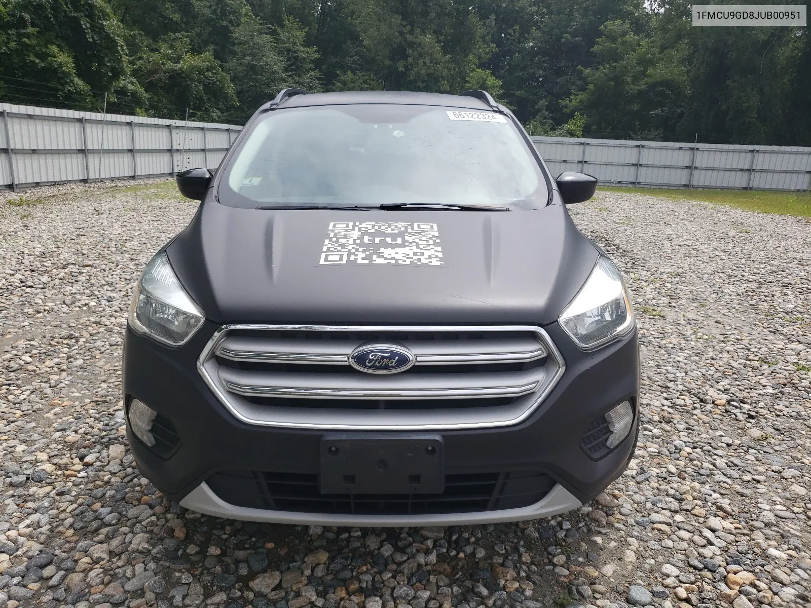 2018 Ford Escape Se VIN: 1FMCU9GD8JUB00951 Lot: 66122324