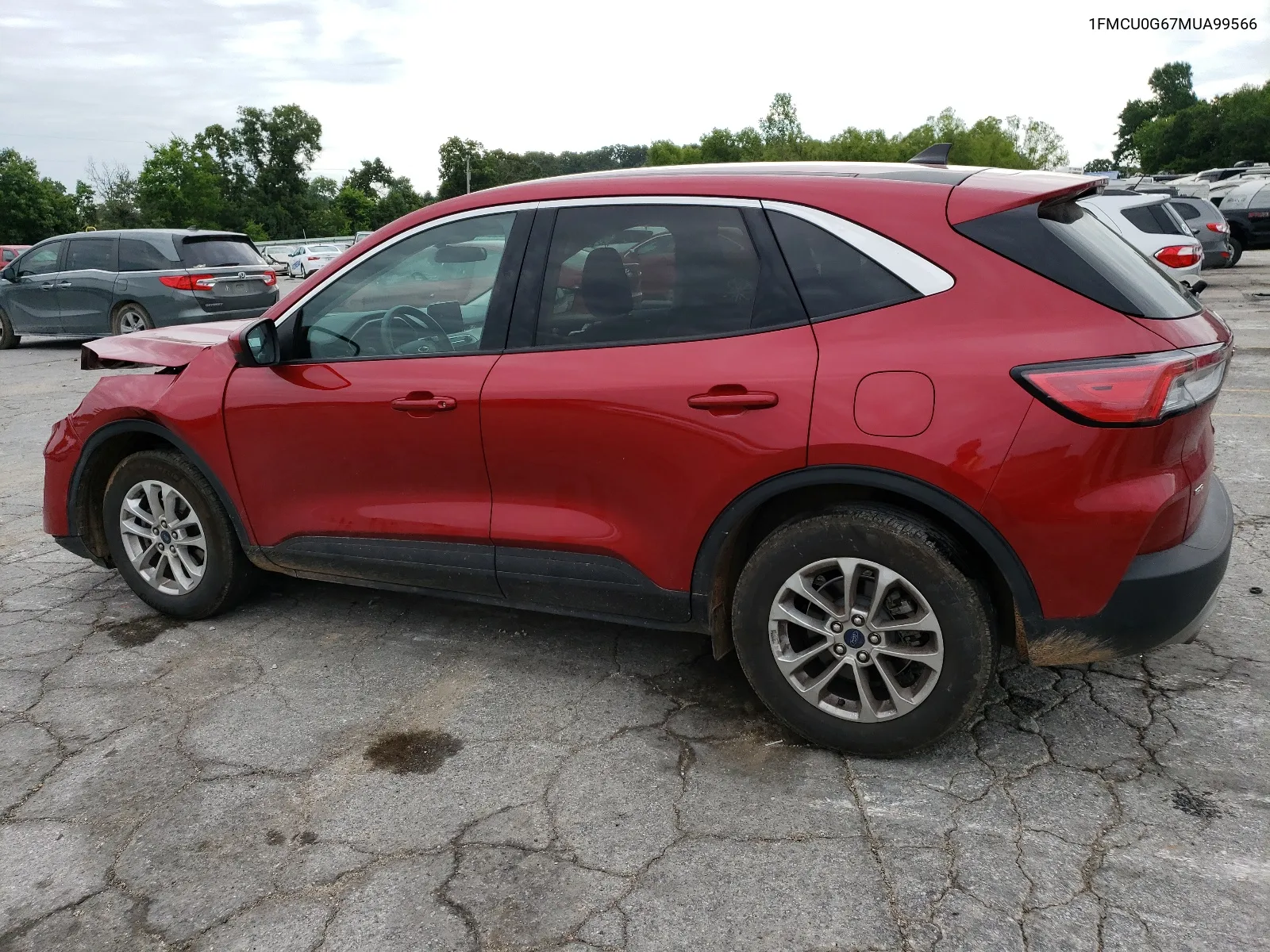 2021 Ford Escape Se VIN: 1FMCU0G67MUA99566 Lot: 59501934