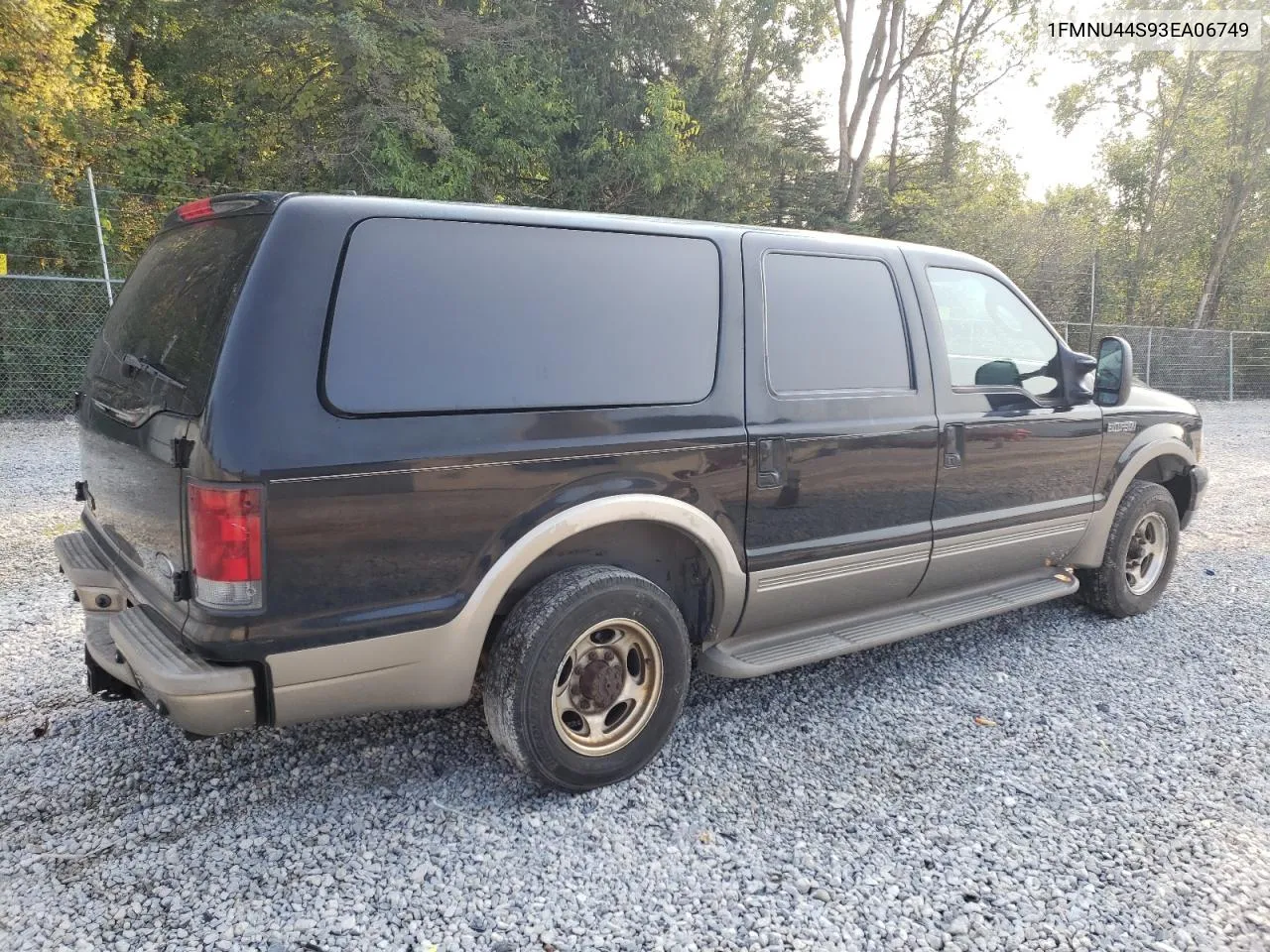 2003 Ford Excursion Eddie Bauer VIN: 1FMNU44S93EA06749 Lot: 69998734