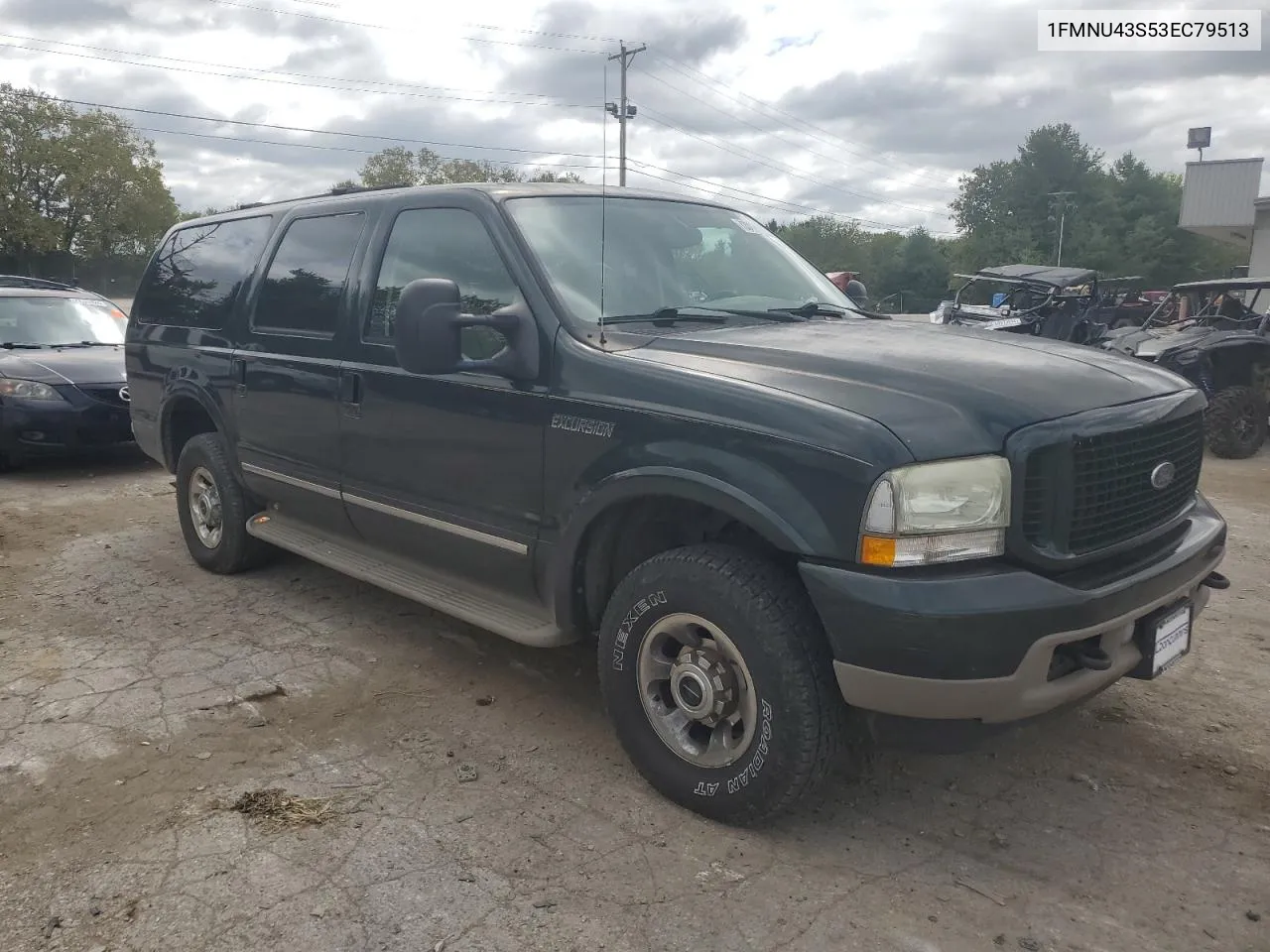 2003 Ford Excursion Limited VIN: 1FMNU43S53EC79513 Lot: 72017454