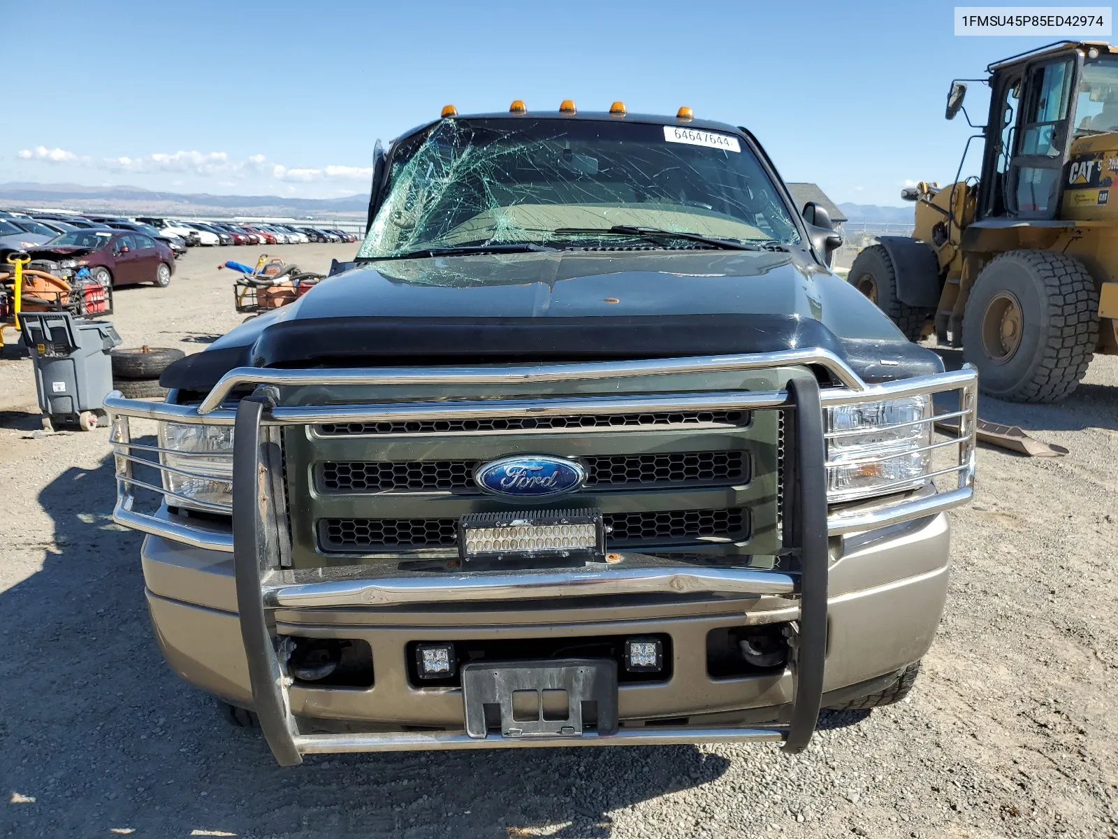 2005 Ford Excursion Eddie Bauer VIN: 1FMSU45P85ED42974 Lot: 64647644