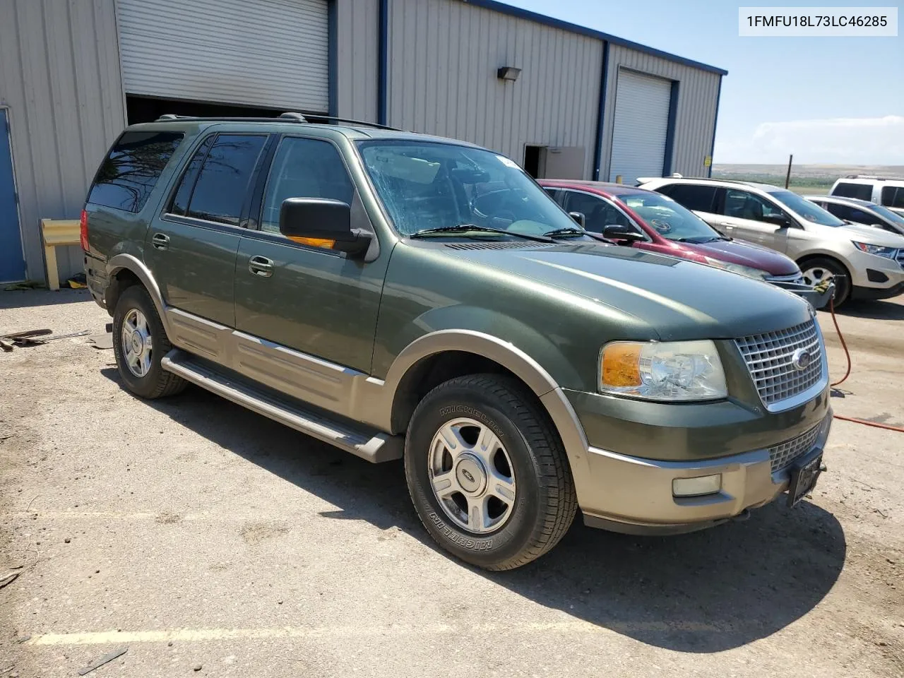 2003 Ford Expedition Eddie Bauer VIN: 1FMFU18L73LC46285 Lot: 62459044