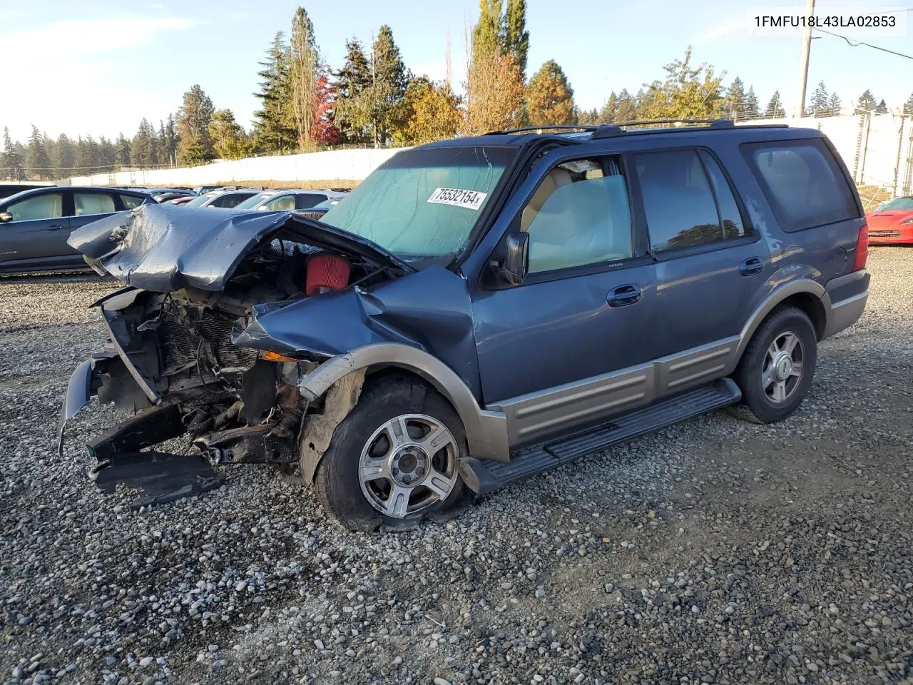 2003 Ford Expedition Eddie Bauer VIN: 1FMFU18L43LA02853 Lot: 75532154