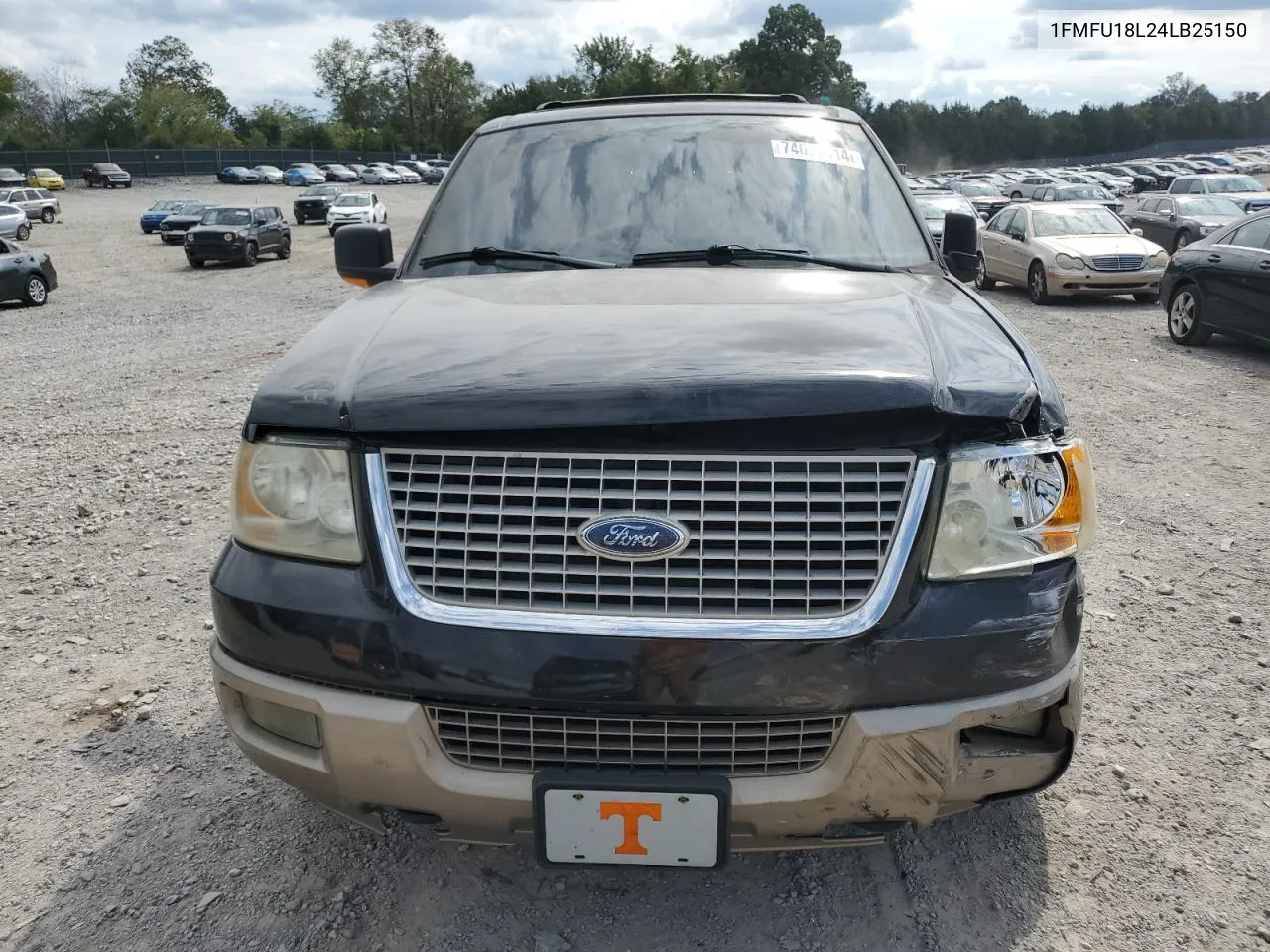 2004 Ford Expedition Eddie Bauer VIN: 1FMFU18L24LB25150 Lot: 74657914