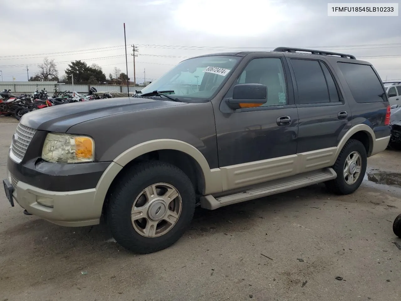 2005 Ford Expedition Eddie Bauer VIN: 1FMFU18545LB10233 Lot: 80672474