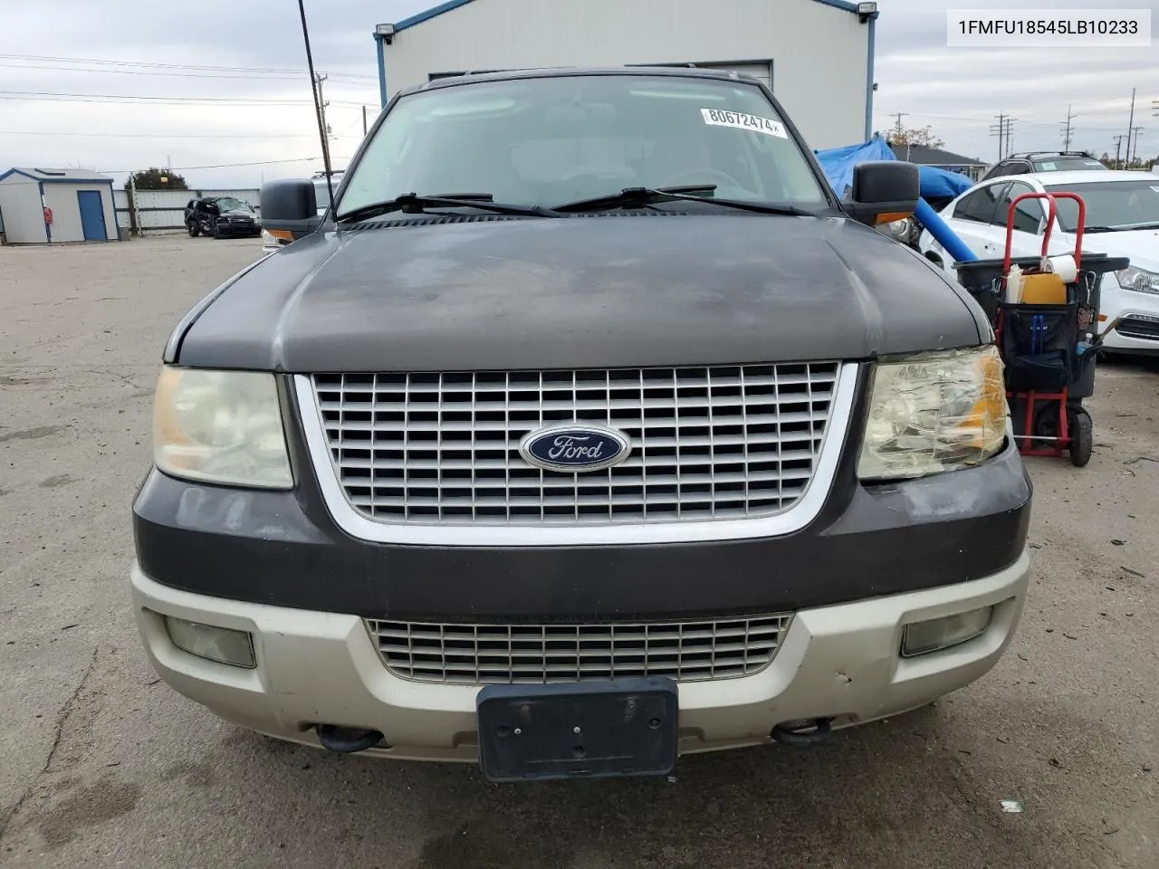 2005 Ford Expedition Eddie Bauer VIN: 1FMFU18545LB10233 Lot: 80672474