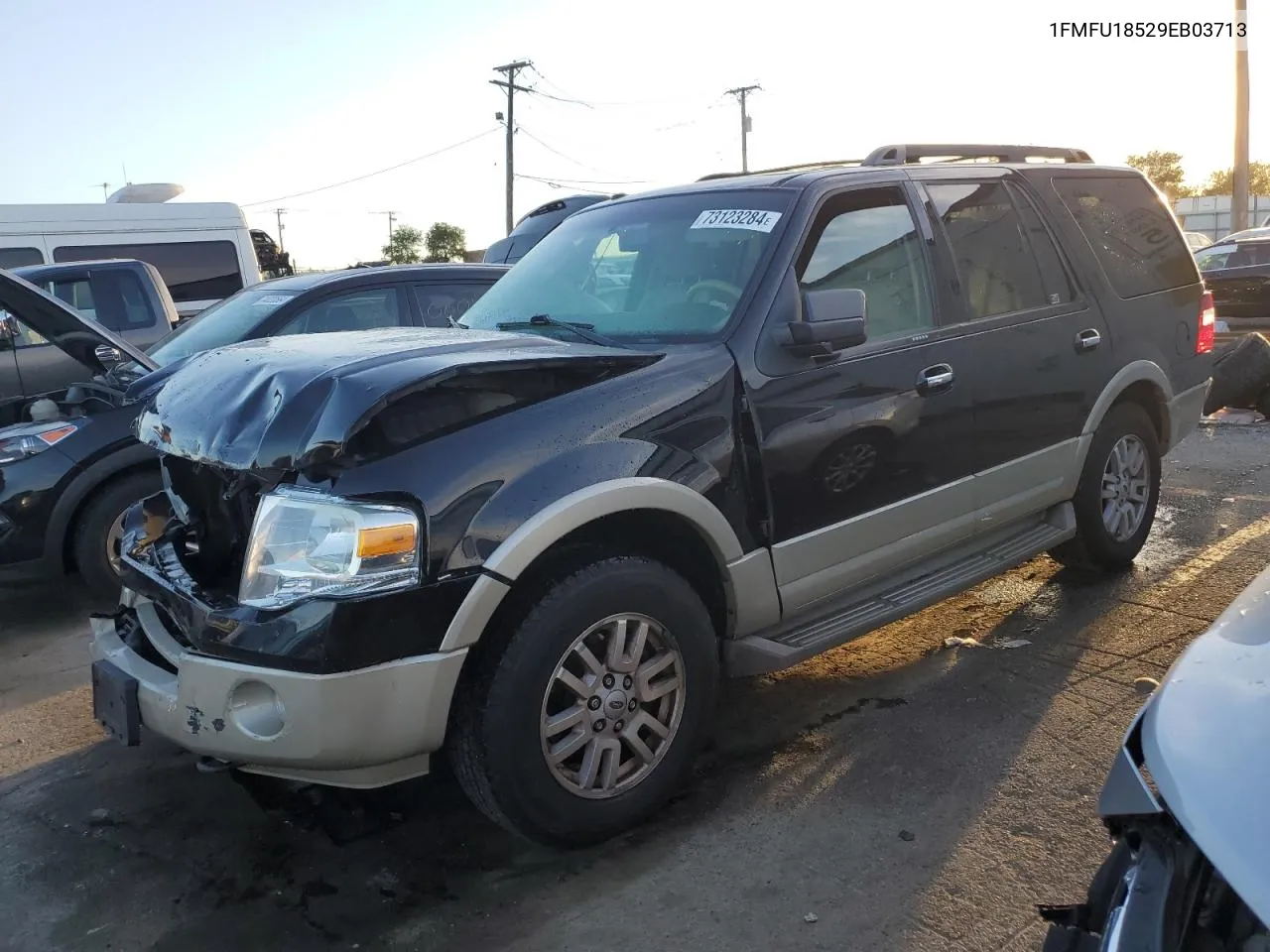 2009 Ford Expedition Eddie Bauer VIN: 1FMFU18529EB03713 Lot: 73123284