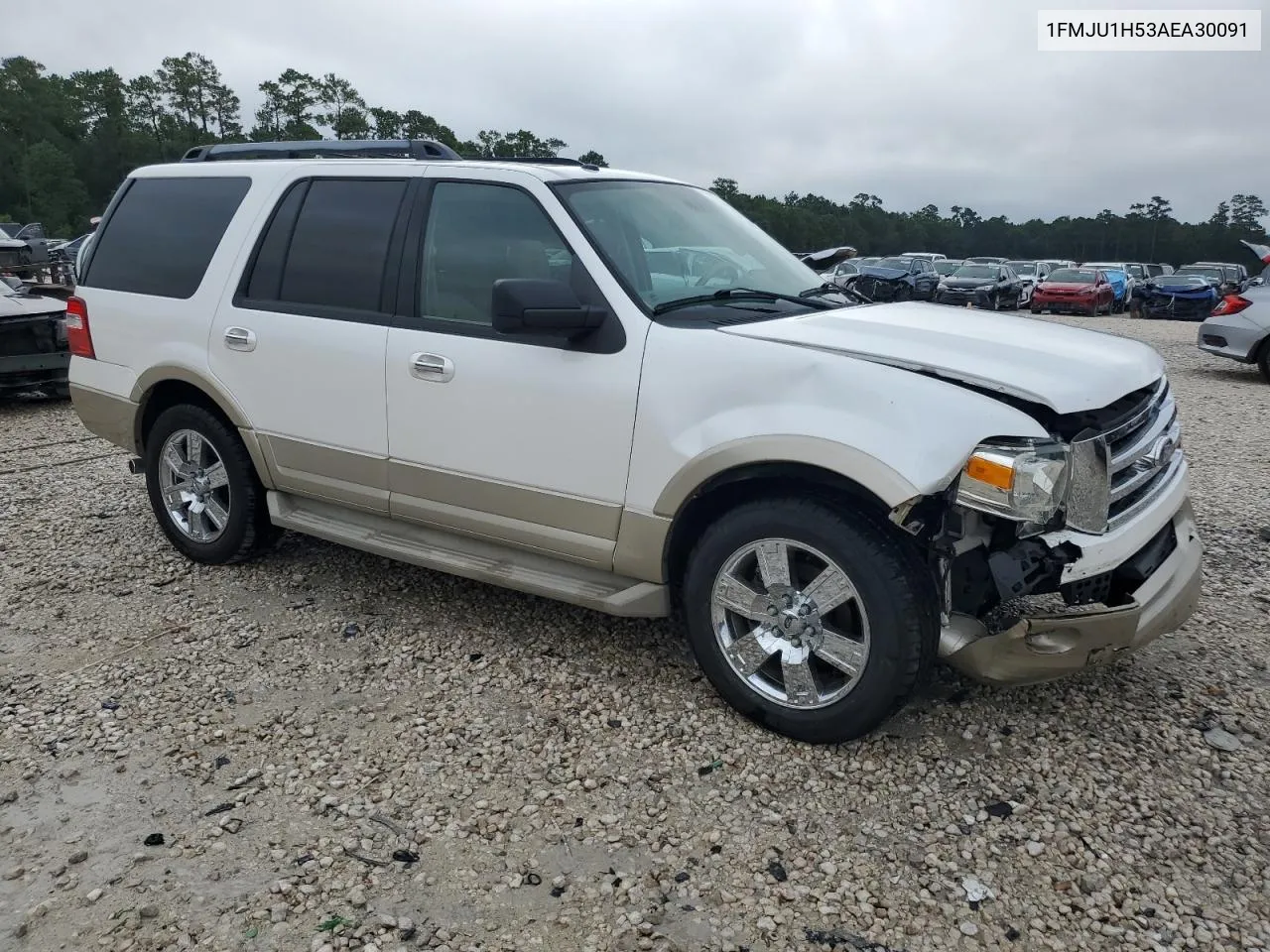 2010 Ford Expedition Eddie Bauer VIN: 1FMJU1H53AEA30091 Lot: 68350344