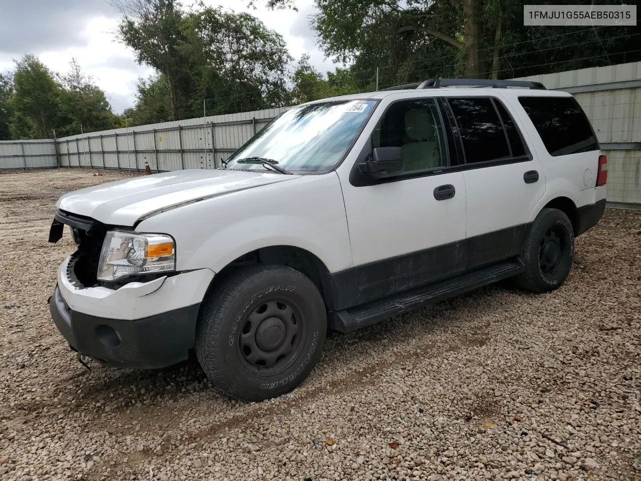 2010 Ford Expedition Xlt VIN: 1FMJU1G55AEB50315 Lot: 68611754