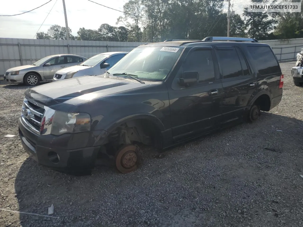 2012 Ford Expedition Limited VIN: 1FMJU1K59CEF51733 Lot: 74558664