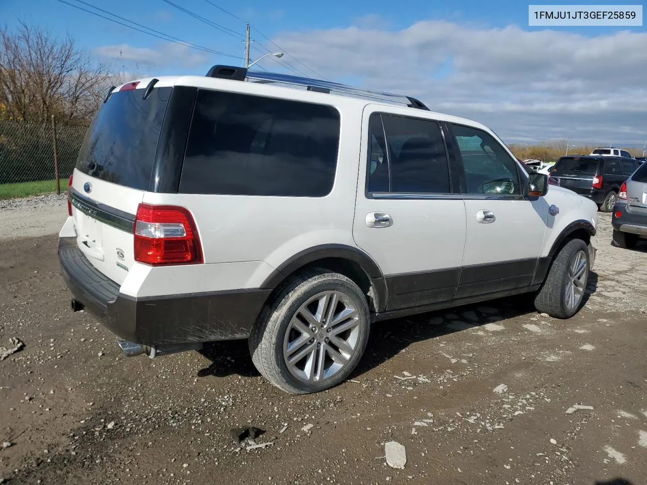 2016 Ford Expedition Xlt VIN: 1FMJU1JT3GEF25859 Lot: 78247374