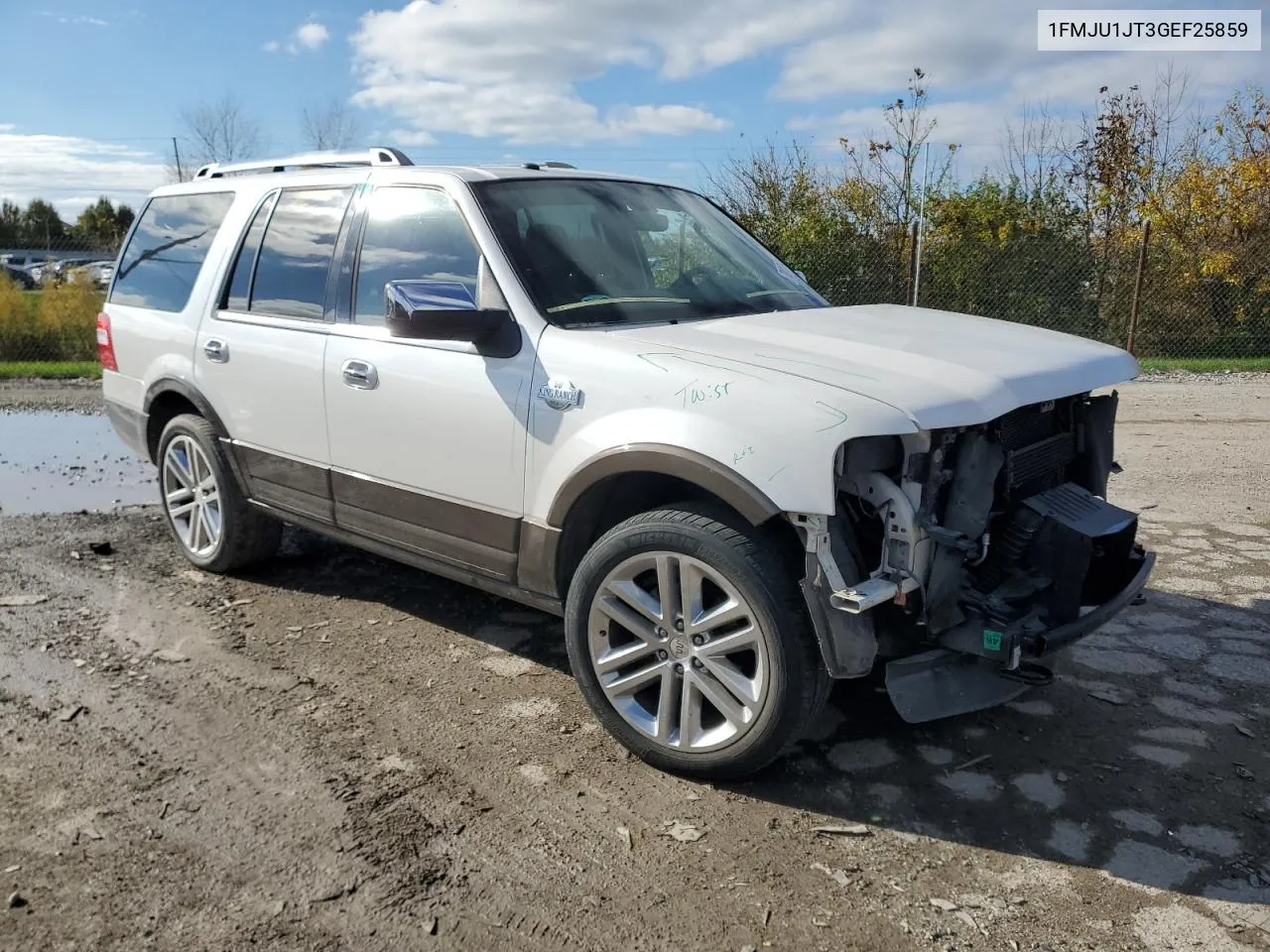 2016 Ford Expedition Xlt VIN: 1FMJU1JT3GEF25859 Lot: 78247374