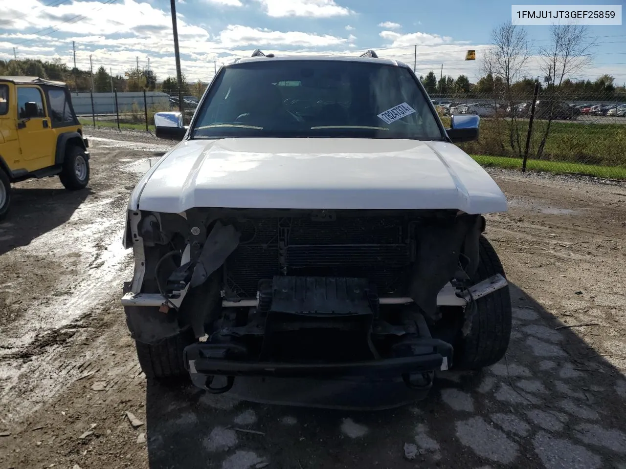 2016 Ford Expedition Xlt VIN: 1FMJU1JT3GEF25859 Lot: 78247374