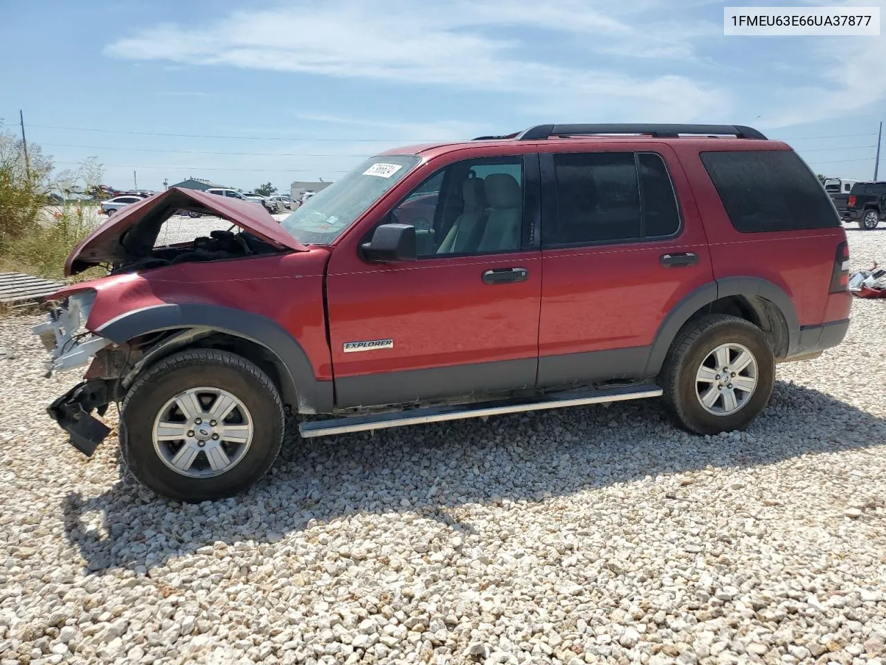 2006 Ford Explorer Xlt VIN: 1FMEU63E66UA37877 Lot: 67966624