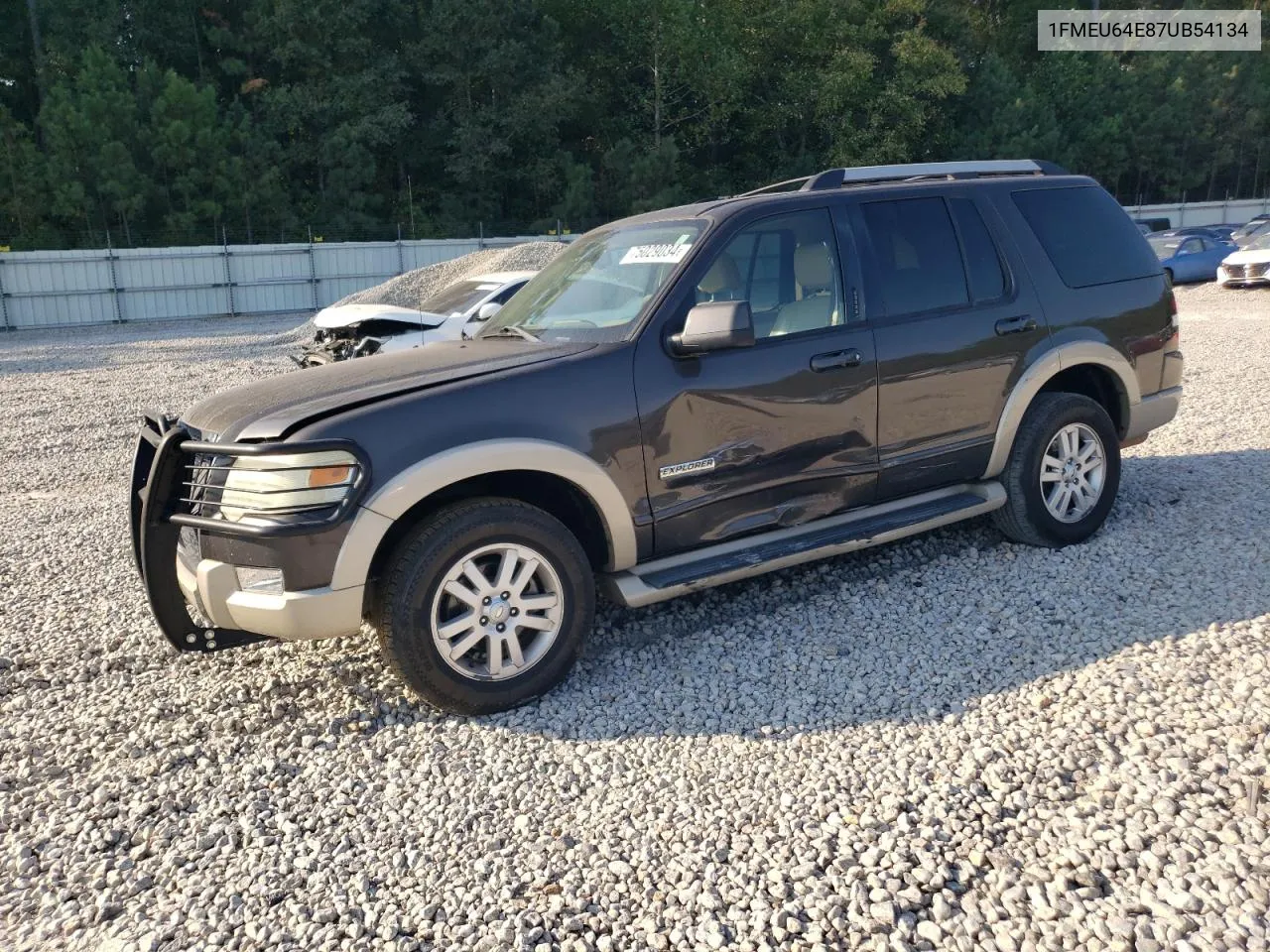 2007 Ford Explorer Eddie Bauer VIN: 1FMEU64E87UB54134 Lot: 75029034