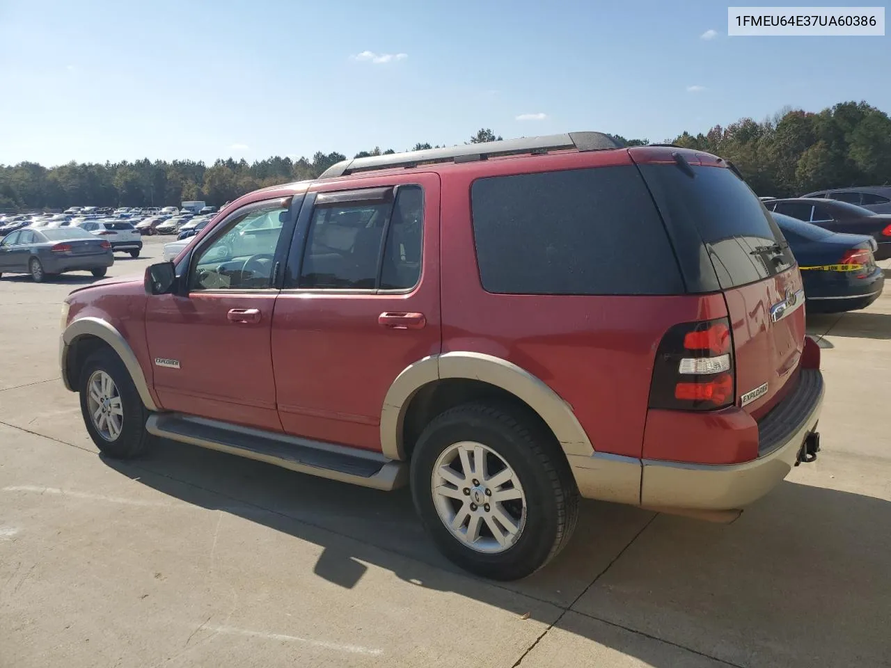 2007 Ford Explorer Eddie Bauer VIN: 1FMEU64E37UA60386 Lot: 77975564