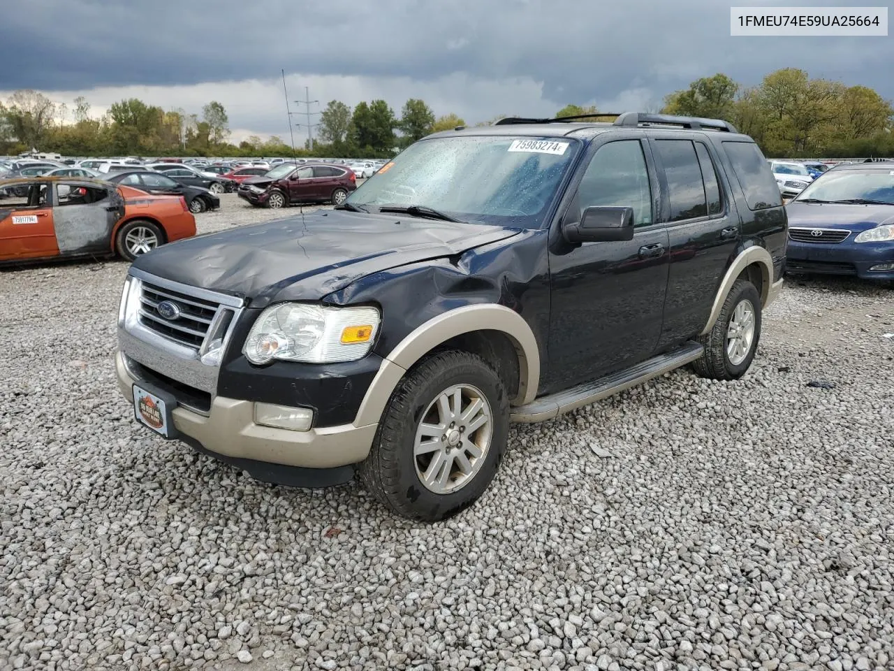 2009 Ford Explorer Eddie Bauer VIN: 1FMEU74E59UA25664 Lot: 75983274