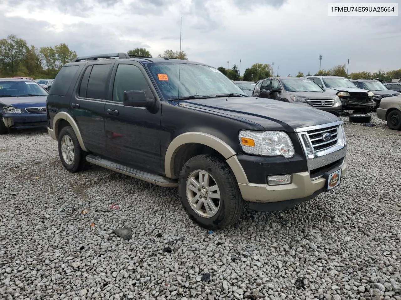 2009 Ford Explorer Eddie Bauer VIN: 1FMEU74E59UA25664 Lot: 75983274