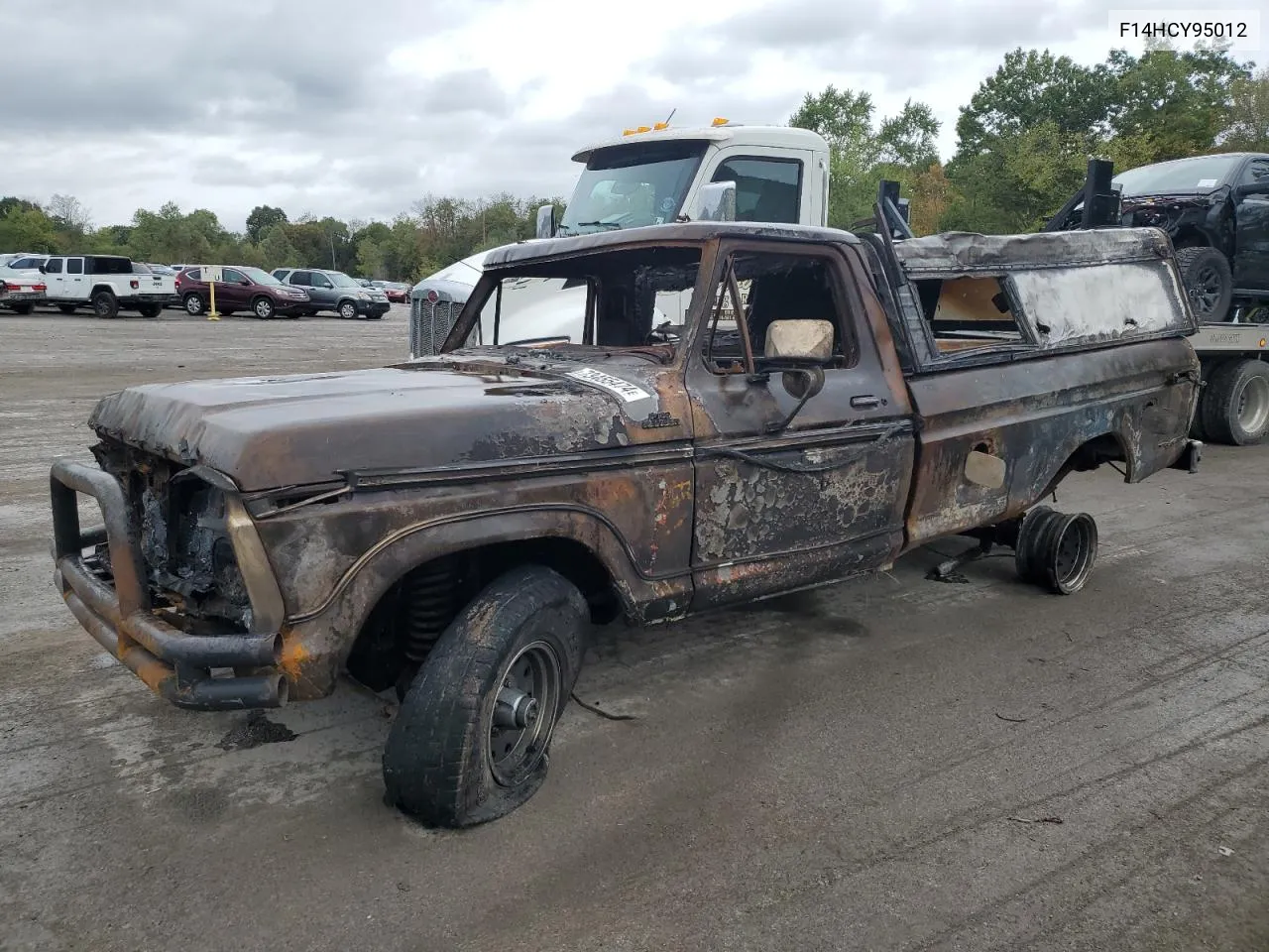 1977 Ford F150 VIN: F14HCY95012 Lot: 73455474