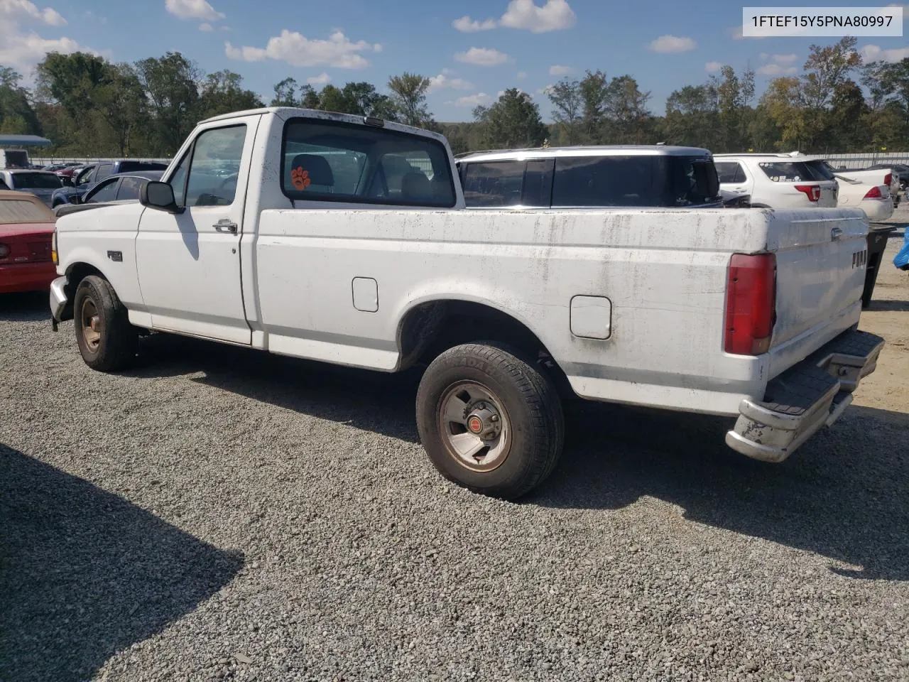 1993 Ford F150 VIN: 1FTEF15Y5PNA80997 Lot: 74607124