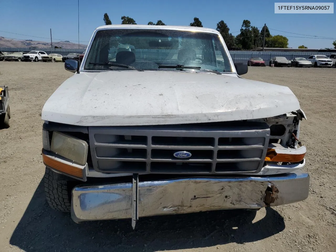 1994 Ford F150 VIN: 1FTEF15Y5RNA09057 Lot: 66370634