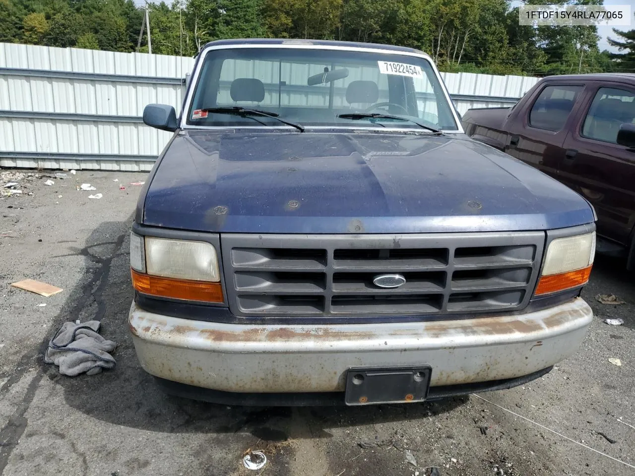 1994 Ford F150 VIN: 1FTDF15Y4RLA77065 Lot: 71922454