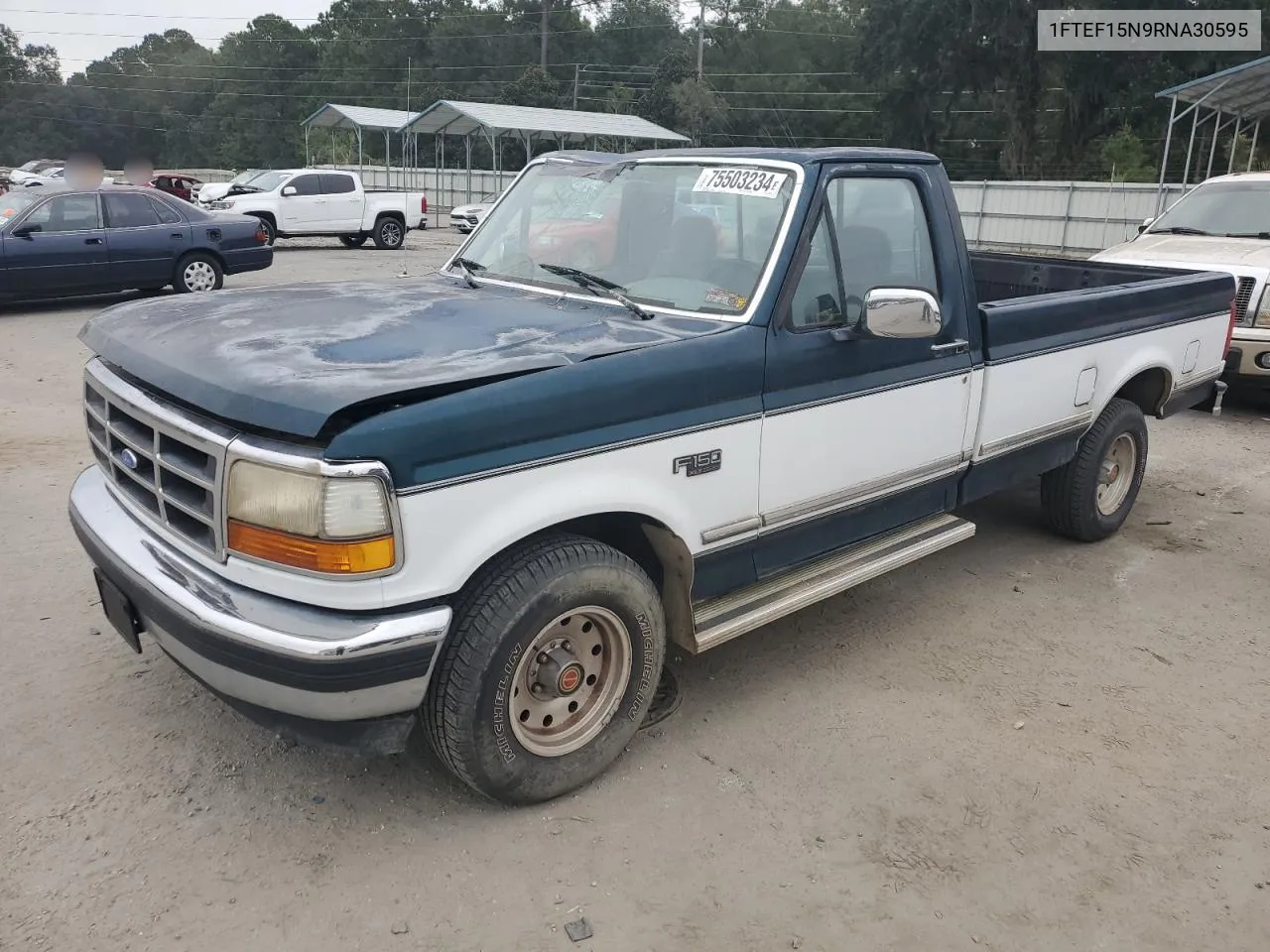 1994 Ford F150 VIN: 1FTEF15N9RNA30595 Lot: 75503234