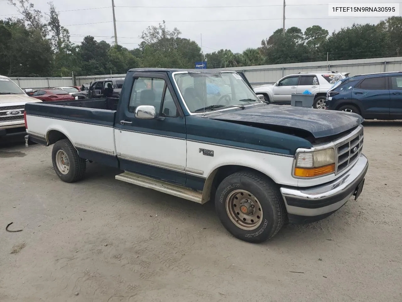 1994 Ford F150 VIN: 1FTEF15N9RNA30595 Lot: 75503234