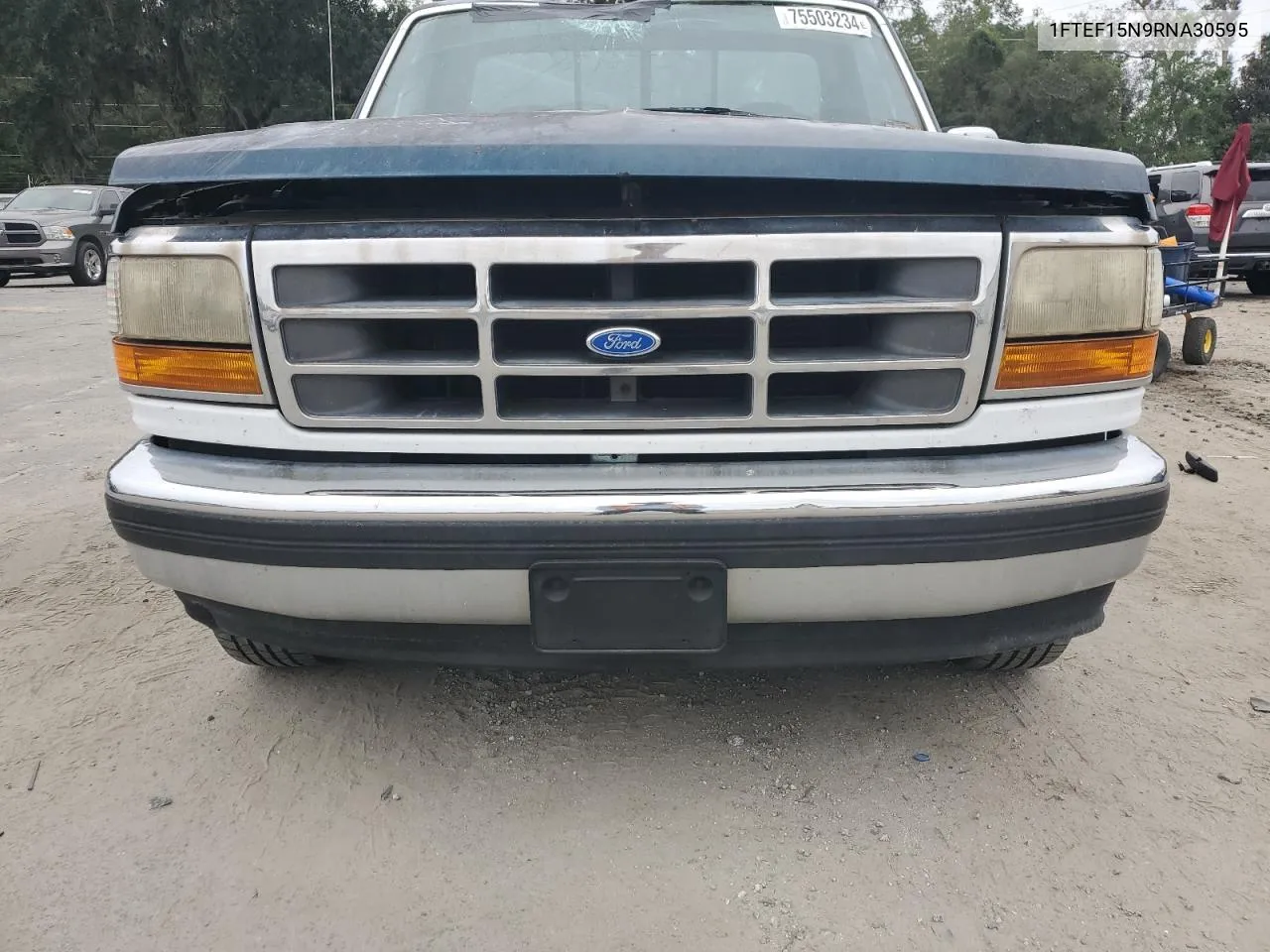 1994 Ford F150 VIN: 1FTEF15N9RNA30595 Lot: 75503234