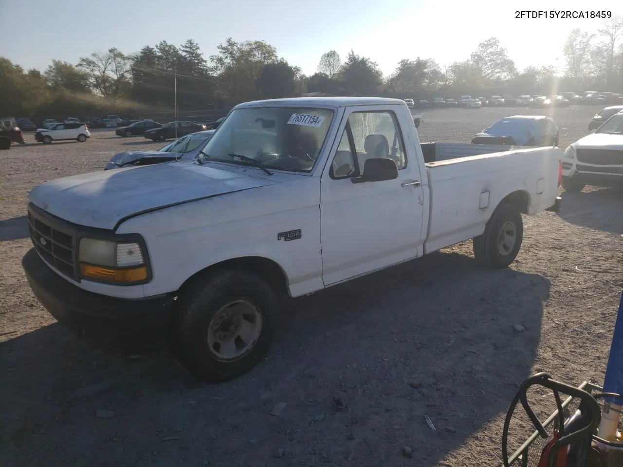 1994 Ford F150 VIN: 2FTDF15Y2RCA18459 Lot: 76517154