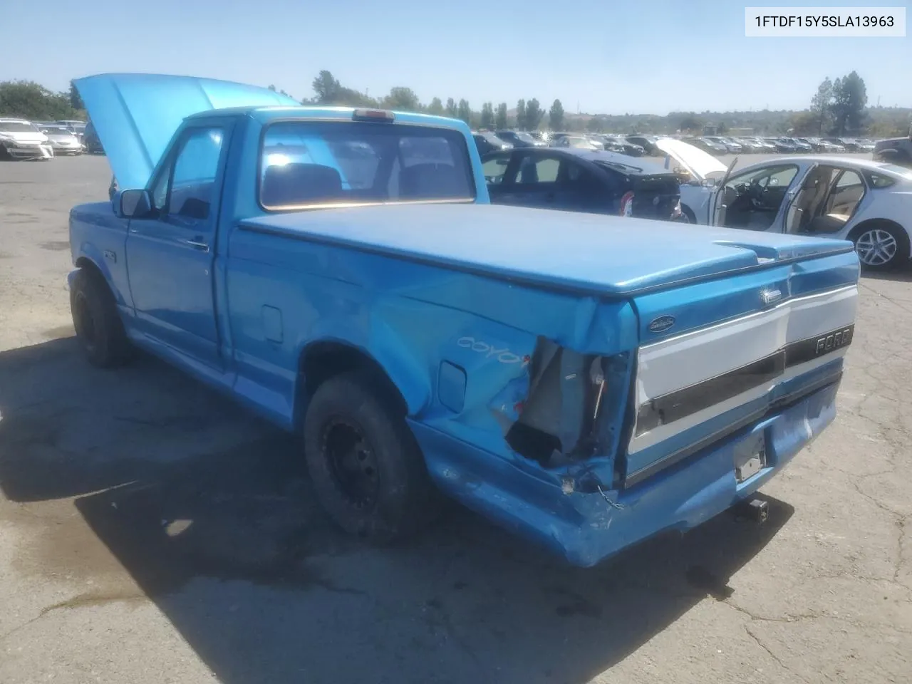 1995 Ford F150 VIN: 1FTDF15Y5SLA13963 Lot: 69896134