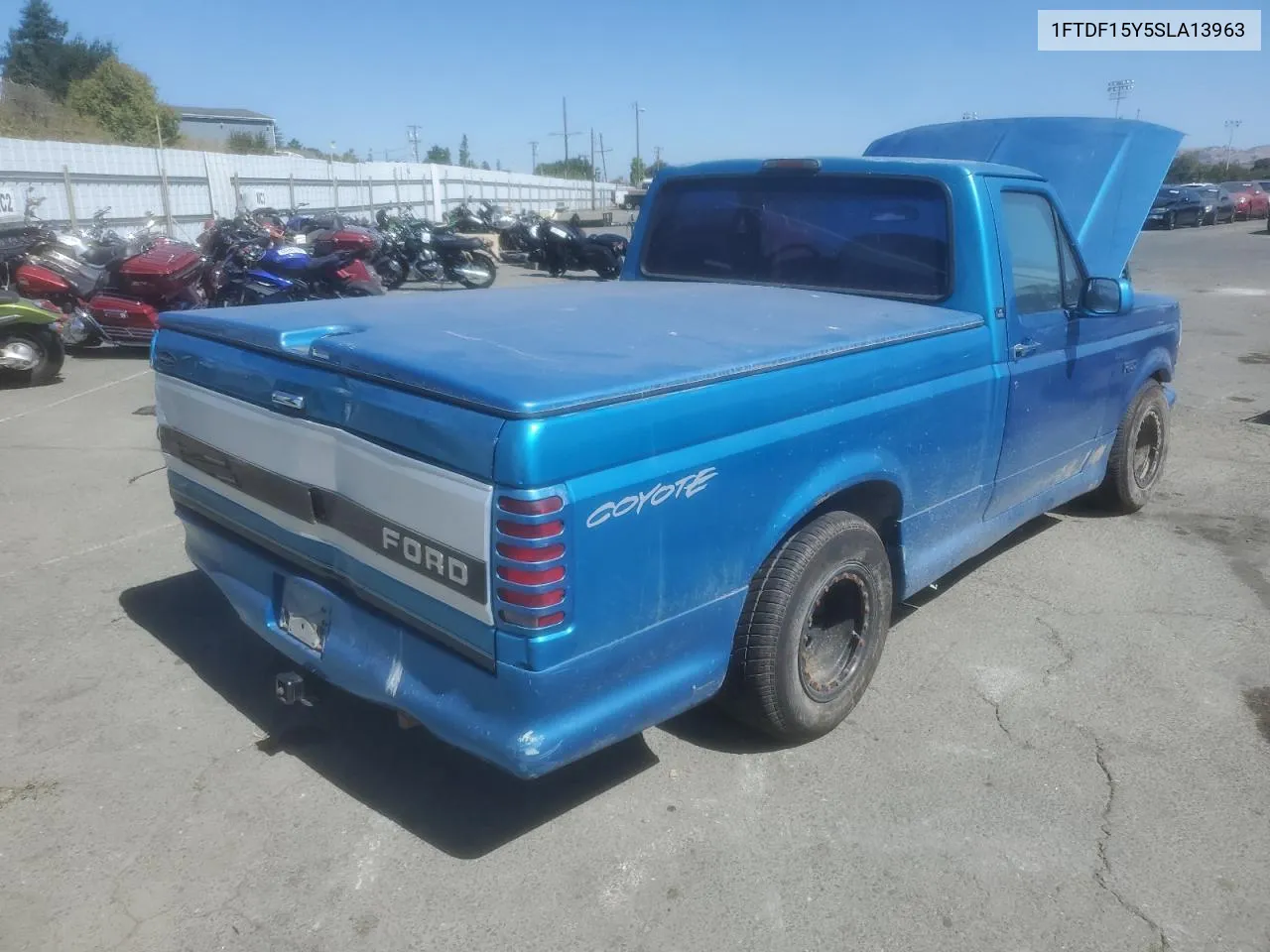 1995 Ford F150 VIN: 1FTDF15Y5SLA13963 Lot: 69896134