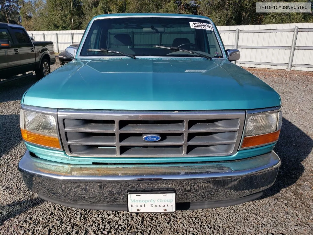 1995 Ford F150 VIN: 1FTDF15Y0SNB05180 Lot: 80009034