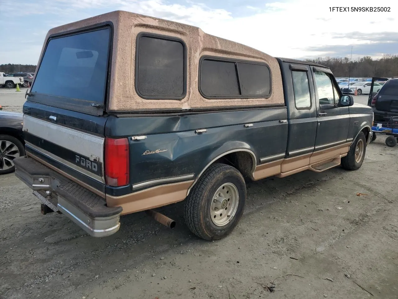 1995 Ford F150 VIN: 1FTEX15N9SKB25002 Lot: 80117184