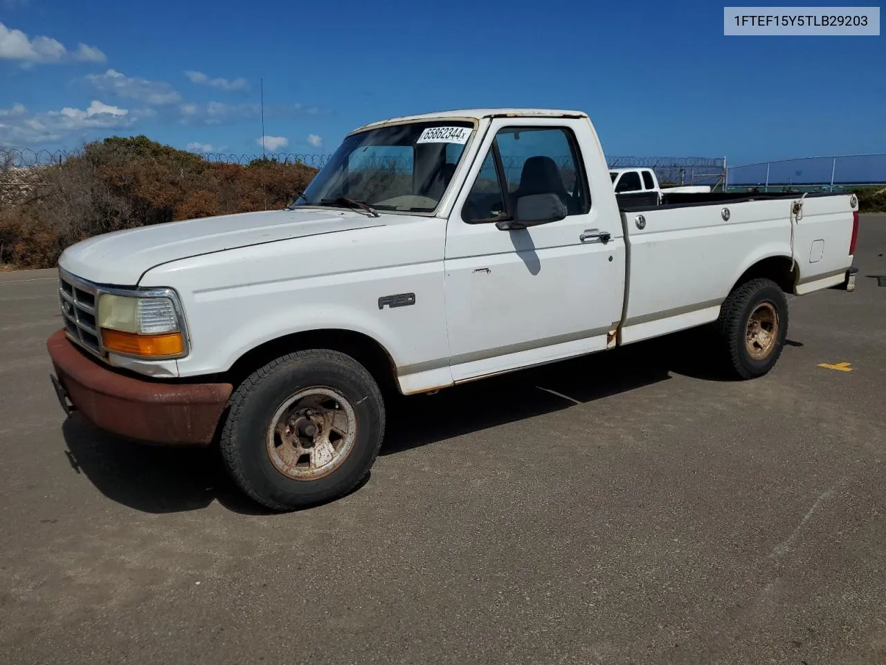 1996 Ford F150 VIN: 1FTEF15Y5TLB29203 Lot: 65862344