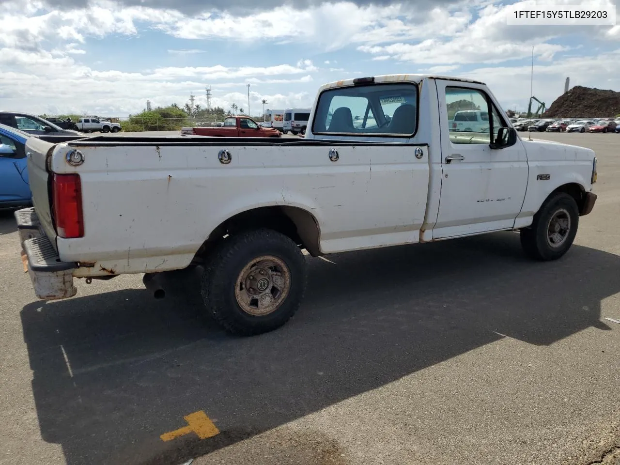 1996 Ford F150 VIN: 1FTEF15Y5TLB29203 Lot: 65862344